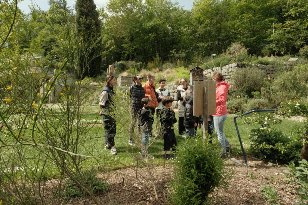 Mercredi Découverte et Partage au Jardin Botanique